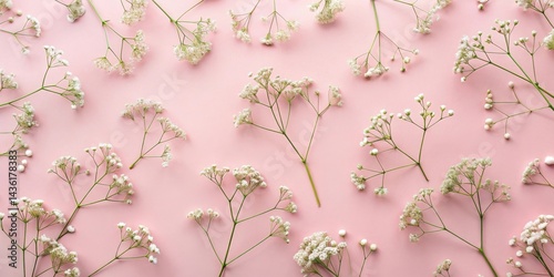 Pastel Pink Background Featuring Delicate White Flowers Arranged in a Symmetrical Pattern