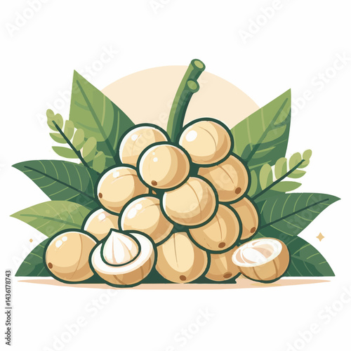 fruit, background, langsat, tropical, food, natural, healthy, ripe, fresh, sweet, delicious, agriculture, longkong, organic, tasty, closeup, thailand, nutrition, plant, diet, white, nature, juicy, iso