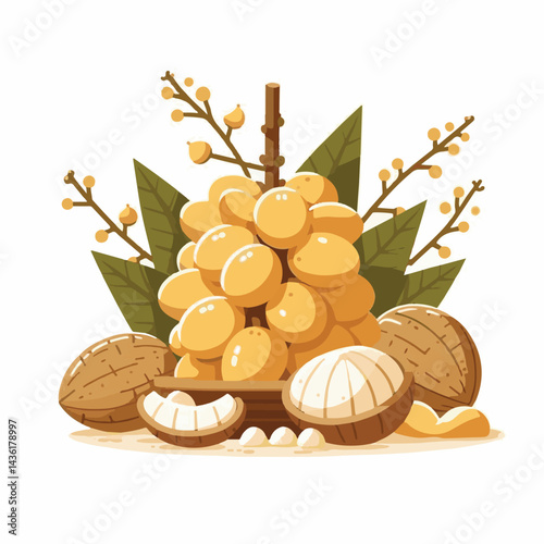 fruit, background, langsat, tropical, food, natural, healthy, ripe, fresh, sweet, delicious, agriculture, longkong, organic, tasty, closeup, thailand, nutrition, plant, diet, white, nature, juicy, iso
