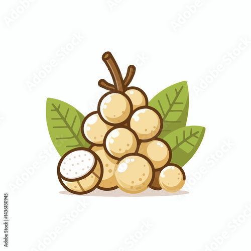 fruit, background, langsat, tropical, food, natural, healthy, ripe, fresh, sweet, delicious, agriculture, longkong, organic, tasty, closeup, thailand, nutrition, plant, diet, white, nature, juicy, iso