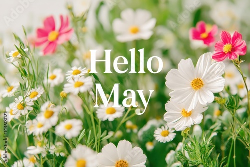 Colorful spring flowers blooming in a vibrant garden with cheerful petals and lush greenery celebrating the beauty of nature and the arrival of May flower concept