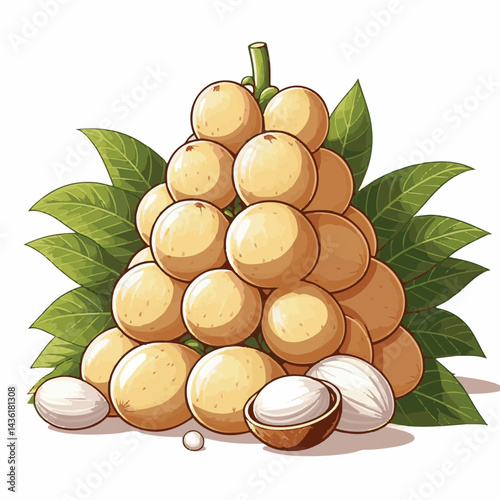 fruit, background, langsat, tropical, food, natural, healthy, ripe, fresh, sweet, delicious, agriculture, longkong, organic, tasty, closeup, thailand, nutrition, plant, diet, white, nature, juicy, iso