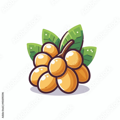 fruit, background, langsat, tropical, food, natural, healthy, ripe, fresh, sweet, delicious, agriculture, longkong, organic, tasty, closeup, thailand, nutrition, plant, diet, white, nature, juicy, iso