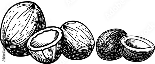 3D coconut halves with coconut water splash isolated on transparent PNG background for tropical and food-themed designs