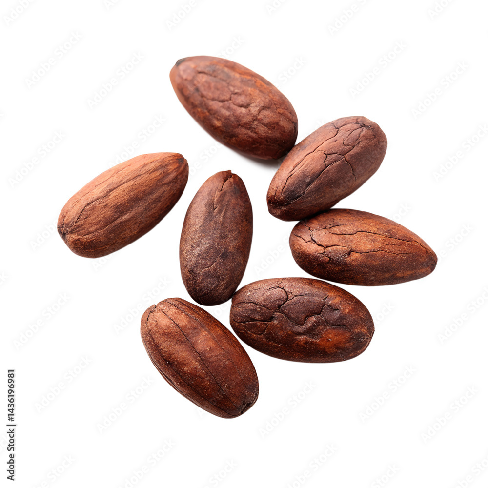 Obraz premium Cacao Beans Isolated on White Background