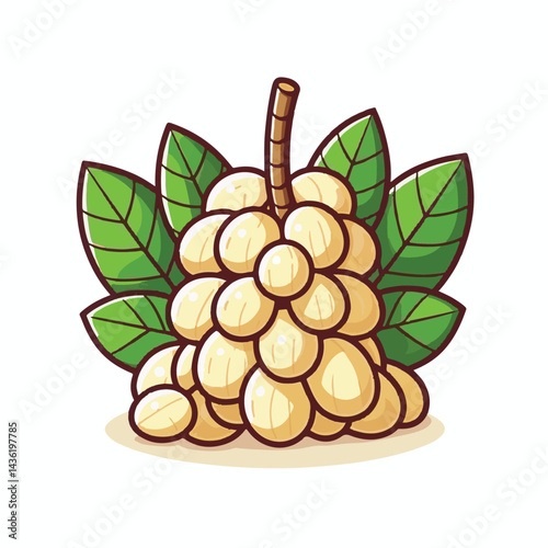 fruit, background, langsat, tropical, food, natural, healthy, ripe, fresh, sweet, delicious, agriculture, longkong, organic, tasty, closeup, thailand, nutrition, plant, diet, white, nature, juicy, iso