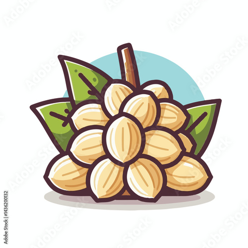 fruit, background, langsat, tropical, food, natural, healthy, ripe, fresh, sweet, delicious, agriculture, longkong, organic, tasty, closeup, thailand, nutrition, plant, diet, white, nature, juicy, iso