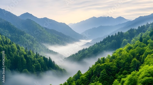 Obraz na płótnie Serene mountain valley veiled in morning mist, lush green forests clinging to steep slopes w salonie