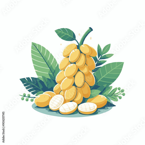 fruit, background, langsat, tropical, food, natural, healthy, ripe, fresh, sweet, delicious, agriculture, longkong, organic, tasty, closeup, thailand, nutrition, plant, diet, white, nature, juicy, iso