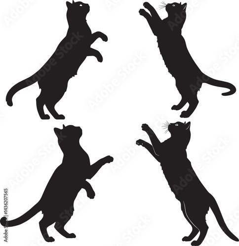 black cat silhouettes reaching and standing in dynamic poses