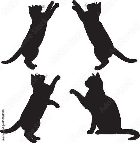 black cat silhouettes stretching and reaching in active poses