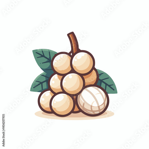 fruit, background, langsat, tropical, food, natural, healthy, ripe, fresh, sweet, delicious, agriculture, longkong, organic, tasty, closeup, thailand, nutrition, plant, diet, white, nature, juicy, iso