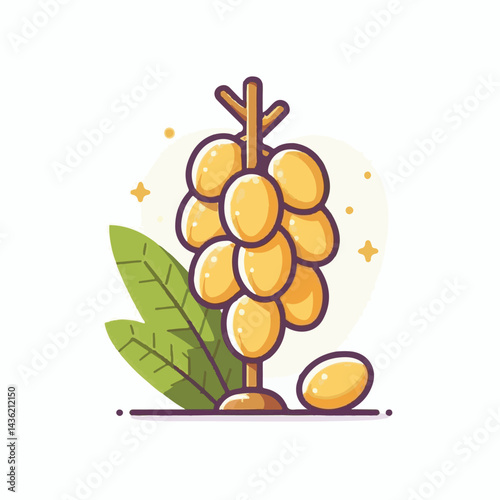 fruit, background, langsat, tropical, food, natural, healthy, ripe, fresh, sweet, delicious, agriculture, longkong, organic, tasty, closeup, thailand, nutrition, plant, diet, white, nature, juicy, iso