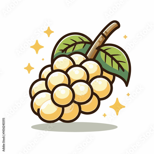 fruit, background, langsat, tropical, food, natural, healthy, ripe, fresh, sweet, delicious, agriculture, longkong, organic, tasty, closeup, thailand, nutrition, plant, diet, white, nature, juicy, iso