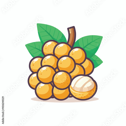 fruit, background, langsat, tropical, food, natural, healthy, ripe, fresh, sweet, delicious, agriculture, longkong, organic, tasty, closeup, thailand, nutrition, plant, diet, white, nature, juicy, iso