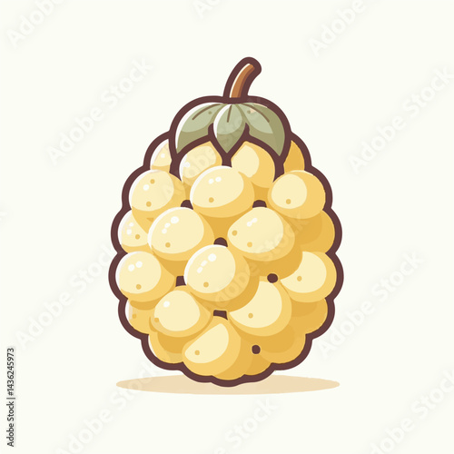 fruit, background, langsat, tropical, food, natural, healthy, ripe, fresh, sweet, delicious, agriculture, longkong, organic, tasty, closeup, thailand, nutrition, plant, diet, white, nature, juicy, iso