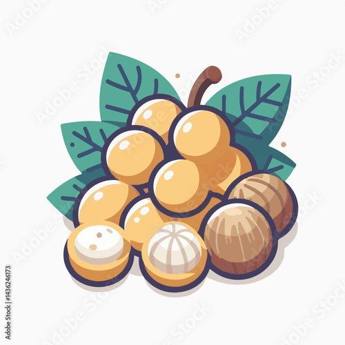 fruit, background, langsat, tropical, food, natural, healthy, ripe, fresh, sweet, delicious, agriculture, longkong, organic, tasty, closeup, thailand, nutrition, plant, diet, white, nature, juicy, iso