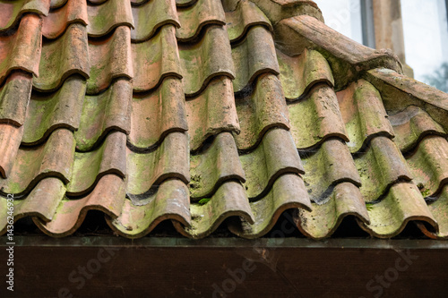 Detailaufnahme von Dachziegeln einer historischen Burg