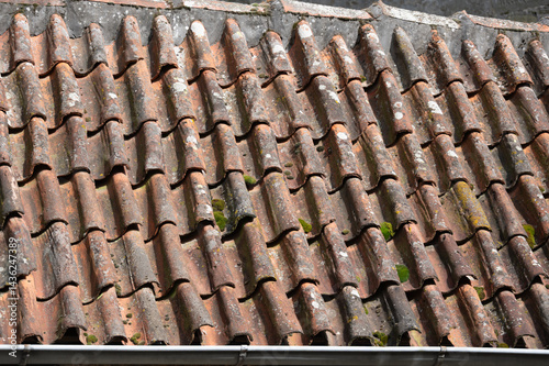 Detailaufnahme von Dachziegeln einer historischen Burg