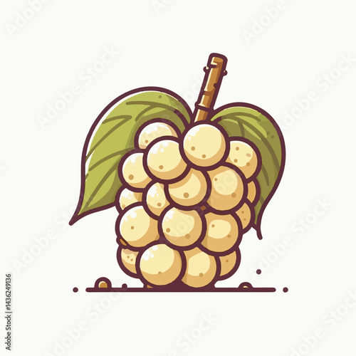 fruit, background, langsat, tropical, food, natural, healthy, ripe, fresh, sweet, delicious, agriculture, longkong, organic, tasty, closeup, thailand, nutrition, plant, diet, white, nature, juicy, iso