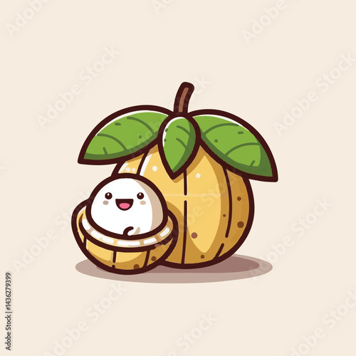 fruit, background, langsat, tropical, food, natural, healthy, ripe, fresh, sweet, delicious, agriculture, longkong, organic, tasty, closeup, thailand, nutrition, plant, diet, white, nature, juicy, iso