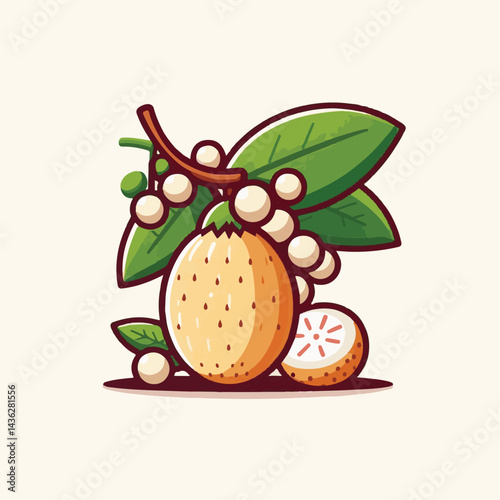 fruit, background, langsat, tropical, food, natural, healthy, ripe, fresh, sweet, delicious, agriculture, longkong, organic, tasty, closeup, thailand, nutrition, plant, diet, white, nature, juicy, iso