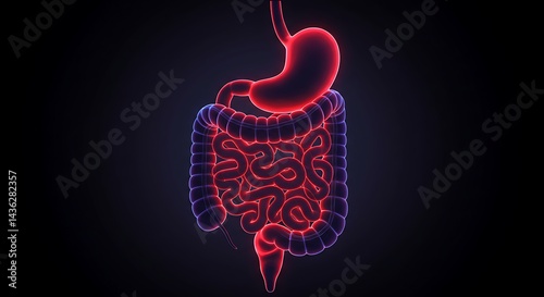 Glowing gastrointestinal tract illustration highlighting the human anatomy