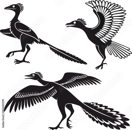 archaeopteryx line art old fossil bird Archaeopteryx. Black and white vector illustration Archaeopteryx Line Art, Black and White Cartoon Dinosaur Illustration
