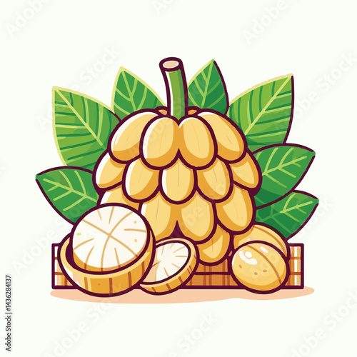fruit, background, langsat, tropical, food, natural, healthy, ripe, fresh, sweet, delicious, agriculture, longkong, organic, tasty, closeup, thailand, nutrition, plant, diet, white, nature, juicy, iso
