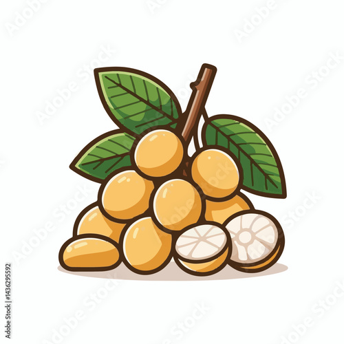 fruit, background, langsat, tropical, food, natural, healthy, ripe, fresh, sweet, delicious, agriculture, longkong, organic, tasty, closeup, thailand, nutrition, plant, diet, white, nature, juicy, iso