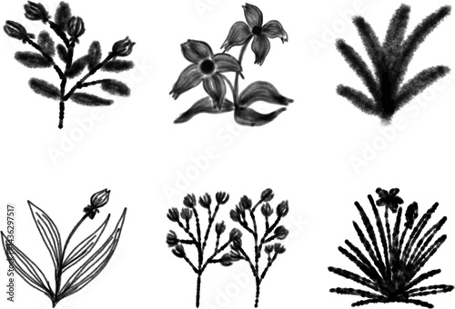 Set of watercolor vector flowers for design versatility, customizable for various projects, enhancing creativity and aesthetics.

