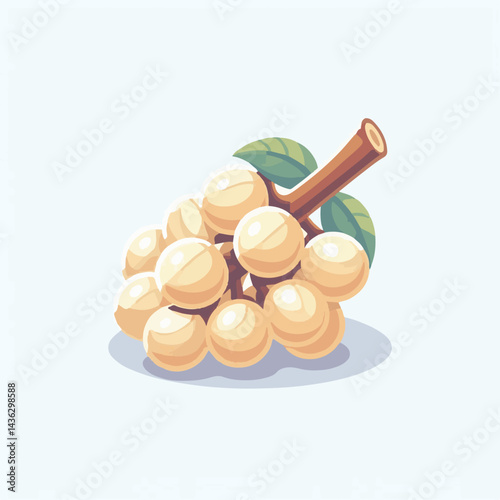 fruit, background, langsat, tropical, food, natural, healthy, ripe, fresh, sweet, delicious, agriculture, longkong, organic, tasty, closeup, thailand, nutrition, plant, diet, white, nature, juicy, iso