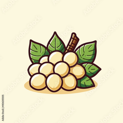 fruit, background, langsat, tropical, food, natural, healthy, ripe, fresh, sweet, delicious, agriculture, longkong, organic, tasty, closeup, thailand, nutrition, plant, diet, white, nature, juicy, iso