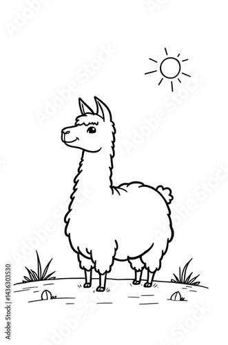 Llama Standing In A Grassy Field