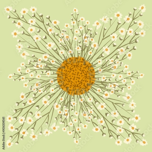 Fototapeta Naklejka Na Ścianę i Meble -  Seamless watercolour and unique floral pattern background for covers, notes, Soft backgrounds colour. Watercolour art work. Flower stalk. Camomile flower. 