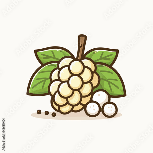 fruit, background, langsat, tropical, food, natural, healthy, ripe, fresh, sweet, delicious, agriculture, longkong, organic, tasty, closeup, thailand, nutrition, plant, diet, white, nature, juicy, iso