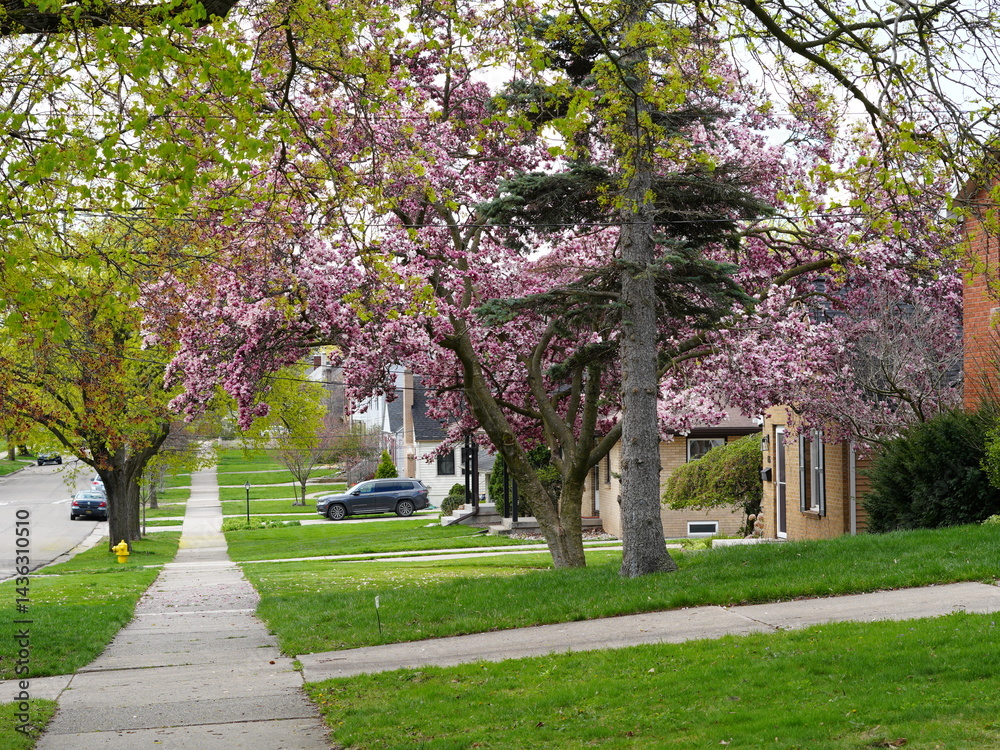 Beautiful Spring time in Michigan Beautiful Spring time in Michigan