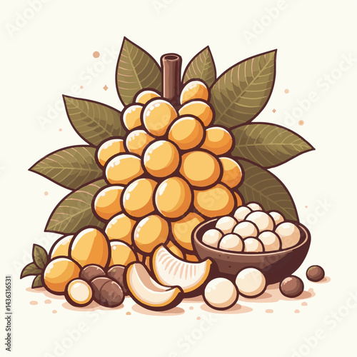 fruit, background, langsat, tropical, food, natural, healthy, ripe, fresh, sweet, delicious, agriculture, longkong, organic, tasty, closeup, thailand, nutrition, plant, diet, white, nature, juicy, iso