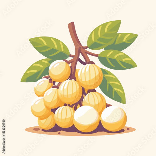 fruit, background, langsat, tropical, food, natural, healthy, ripe, fresh, sweet, delicious, agriculture, longkong, organic, tasty, closeup, thailand, nutrition, plant, diet, white, nature, juicy, iso