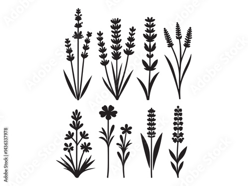 Lavender silhouette vector icons set