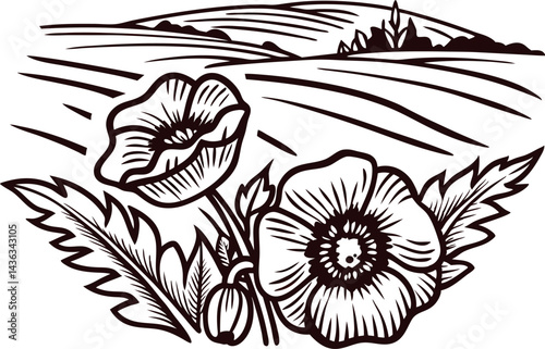 Field landscape with blooming poppies and gently rolling hills in black and white