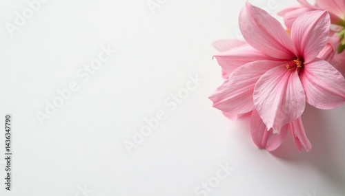 Crisp, bright white surface Clean, flawless backdrop for cosmetics , bright, cosmetic, unblemished