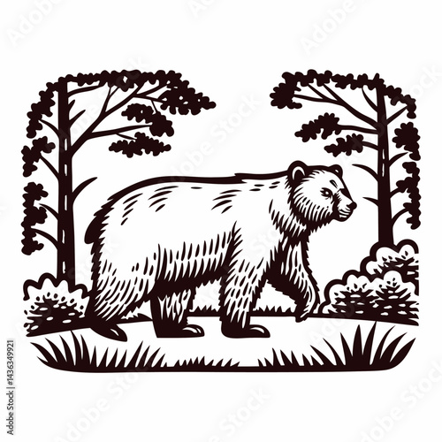 of a bear walking through woodland scenery with trees and foliage.