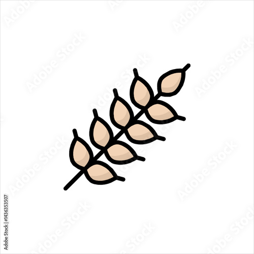 coffee beans on white background