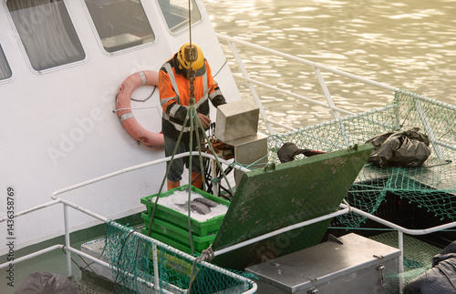 Sailor, manipulating crane controls to unload the load of fish