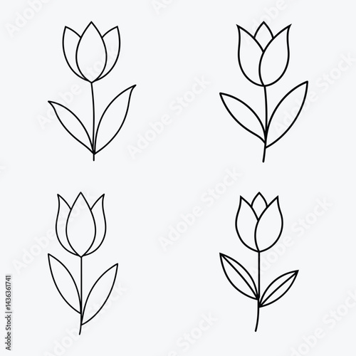 Tulip orchid with stems and leaves