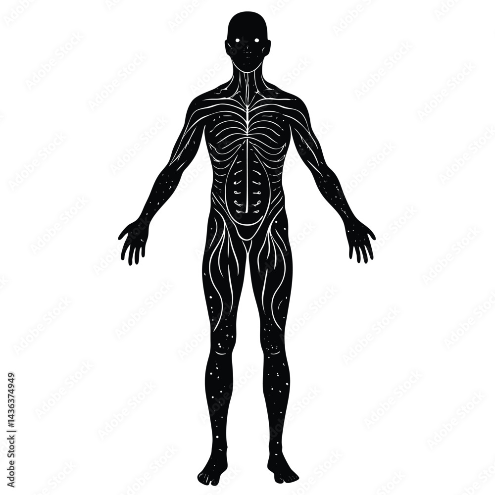 Fototapeta premium body