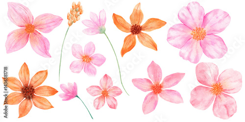 Wallpaper Mural Hand drawn fantasy spring flowers set created in watercolor style. Pink and orange palette. Watercolor illustration ideal for greeting cards, packaging, wedding decor, textile prints, invitations Torontodigital.ca