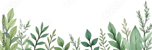 Hand-drawn green plants and layered leaves on white, with delicate pencil strokes and vintage botanical style, creating a minimal, elegant 4K wallpaper.