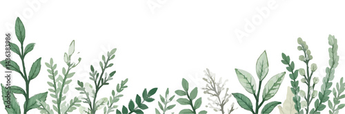 Hand-drawn green plants and layered leaves on white, with delicate pencil strokes and vintage botanical style, creating a minimal, elegant 4K wallpaper.